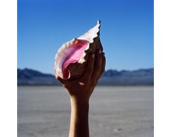 Killers - Wonderful Wonderful (LP)