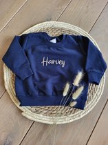 baby/kinder sweater/trui met geborduurde naam/gepersonaliseerd meerdere maten
