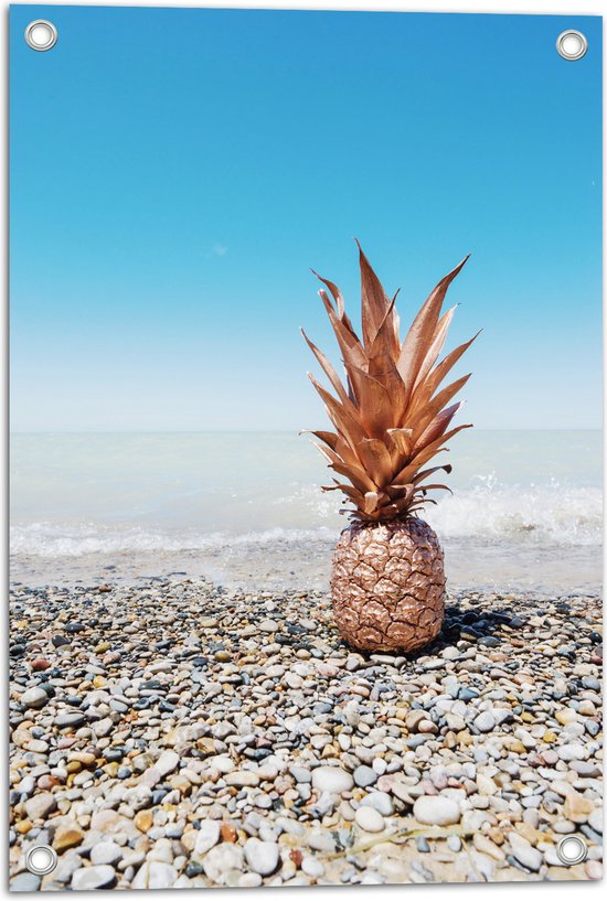 Tuinposter – Zee - Eten - Annanas - Stenen - Water - 40x60 cm Foto op Tuinposter (wanddecoratie voor buiten en binnen)