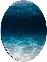 Dibond Ovaal - Zee - Oceaan - Onderwater - Onderwaterleven - Schol - Vissen - Dieren - 30x40 cm Foto op Ovaal (Met Ophangsysteem)