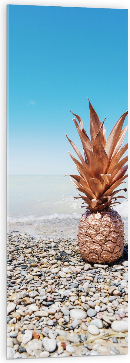Acrylglas - Zee - Eten - Annanas - Stenen - Water - 40x120 cm Foto op Acrylglas (Wanddecoratie op Acrylaat)