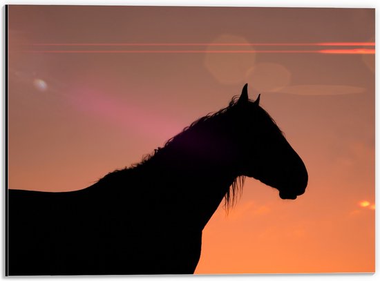 Dibond - Silhouet van Paard met Lange Manen tegen Rozekleurige Lucht - 40x30 cm Foto op Aluminium (Wanddecoratie van metaal)