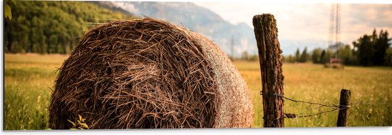 Dibond - Bergen - Landschap - Gras - Hout - Hooi - 90x30 cm Foto op Aluminium (Met Ophangsysteem)