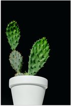 Poster Glanzend – Cactus - Plant - Bloempot - 40x60 cm Foto op Posterpapier met Glanzende Afwerking