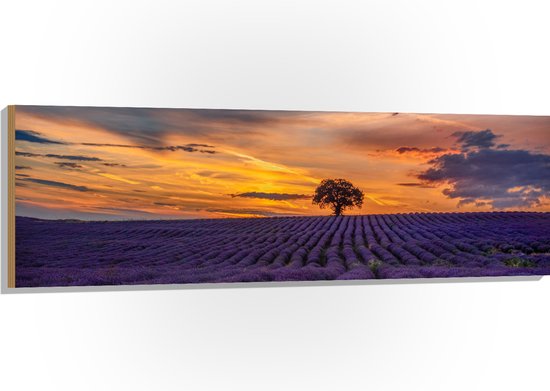 Hout - Landschap - Bloemen - Planten - Boom - Lavendel - Zonsondergnag - Paars - 150x50 cm - 9 mm dik - Foto op Hout (Met Ophangsysteem)