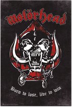 Poster Motorhead Born to Lose 61x91,5cm