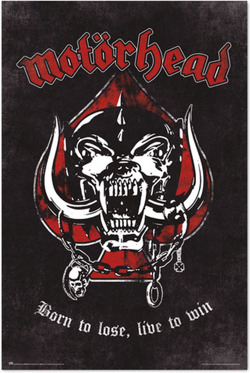 Grupo Erik Motörhead Born To Lose - Maxi Poster - 61 x 96.5 cm Multi color