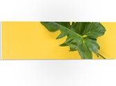PVC Schuimplaat- Groen Blad tegen Okergele Achtergrond - 60x20 cm Foto op PVC Schuimplaat