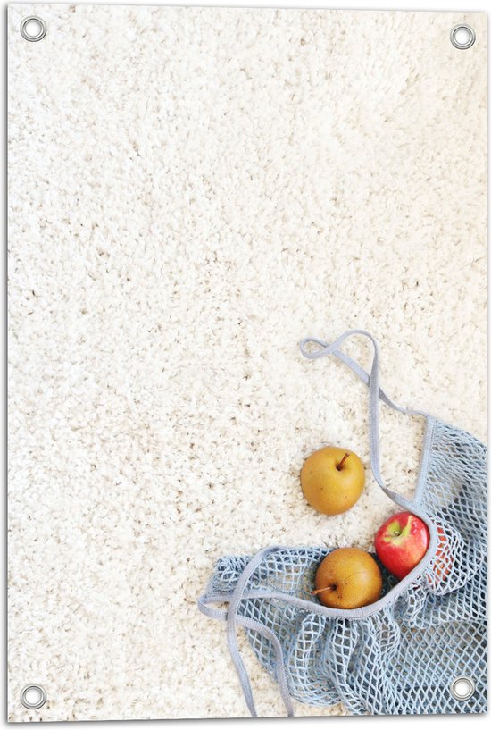 Tuinposter – Tas met Eruit Gevallen Fruit - 40x60 cm Foto op Tuinposter (wanddecoratie voor buiten en binnen)