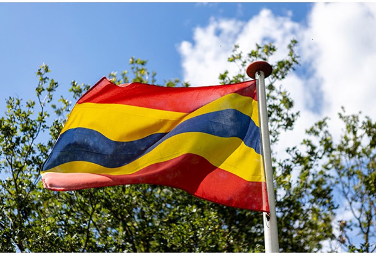 Vlag Overijssel 200x300cm