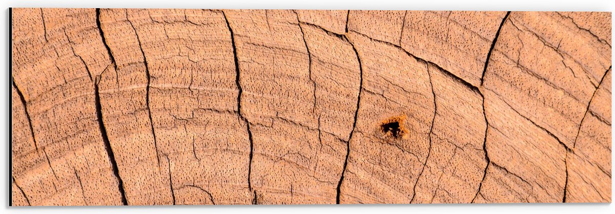 Dibond - Close-up van Scheuren in Boomstam - 60x20 cm Foto op Aluminium (Wanddecoratie van