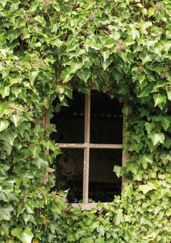 Tuinposter Tuindoek Doek Buiten Wanddecoratie Boerenraam met Hedera Tuin Poster 85cm x 60cm