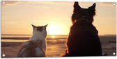 Tuinposter – Kat en Hond op het Strand Kijkend naar Zonsondergang - 100x50 cm Foto op Tuinposter (wanddecoratie voor buiten en binnen)