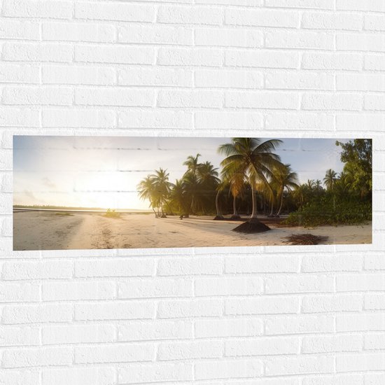 Muursticker - Felle Zonnestralen over het Strand en Palmbomen - 120x40 cm Foto op Muursticker