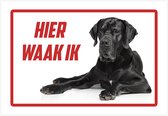 Waakbord / bord | "Hier waak ik" | 30 x 20 cm | Grote Dane | Dikte: 1 mm | Zwart | Great Dane | Deense Dog | Gevaarlijke hond | Waakhond | Hond | Betreden op eigen risico | Polystyreen | Rechthoek | Witte achtergrond | 1 stuk