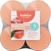 48 stuks Bolsius perzik - peach maxi geurtheelichtjes (8 uur) clear cups True Scents