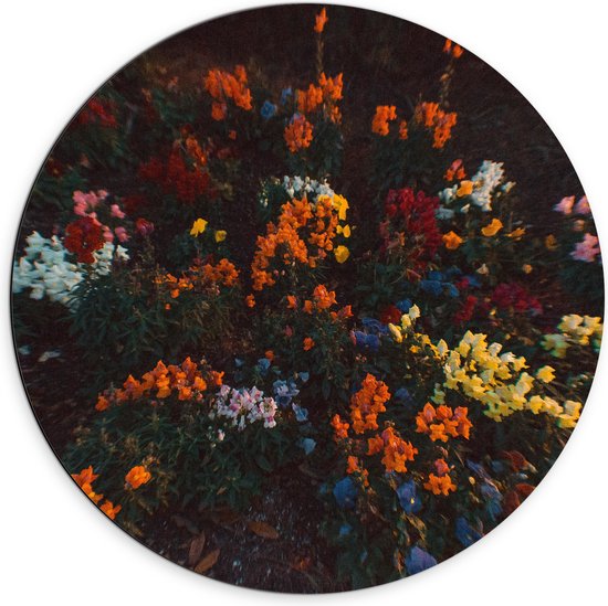 Dibond Muurcirkel - Bloemen - Wazig - Natuur - Bossen - Kleuren - Bladeren - 70x70 cm Foto op Aluminium Muurcirkel (met ophangsysteem)