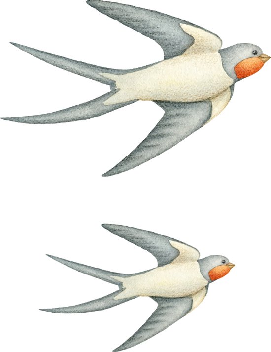 Foto: Tweeling vogels muursticker vogels