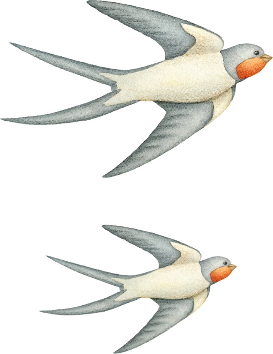 Tweeling vogels - Muursticker Vogels