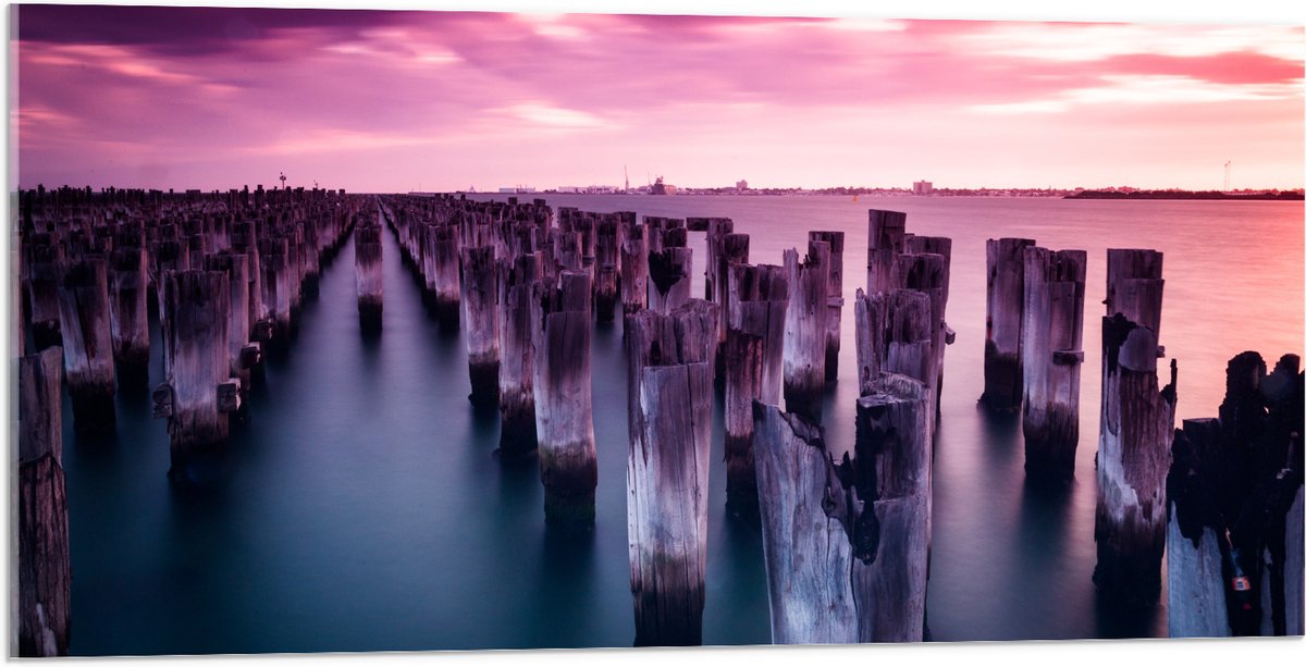 Acrylglas - Palen - Water - Hout - Zee - Kleuren - 100x50 cm Foto op Acrylglas (Met Ophang