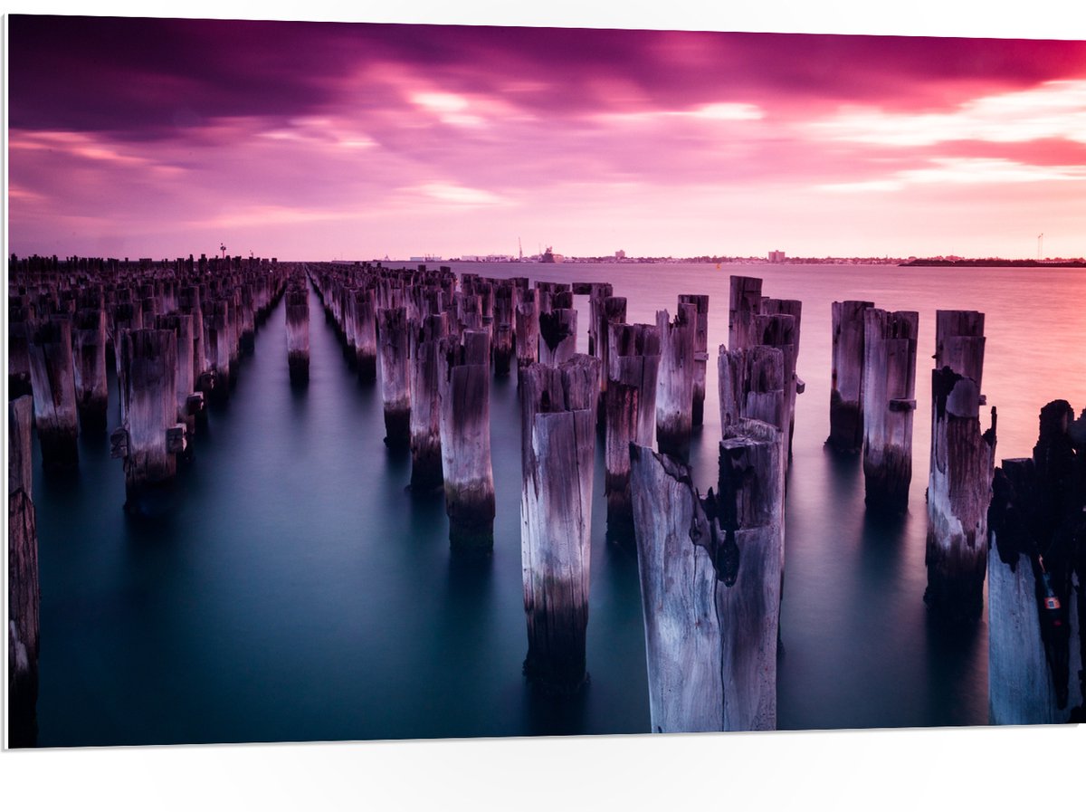 PVC Schuimplaat- Palen - Water - Hout - Zee - Kleuren - 105x70 cm Foto op PVC Schuimplaat