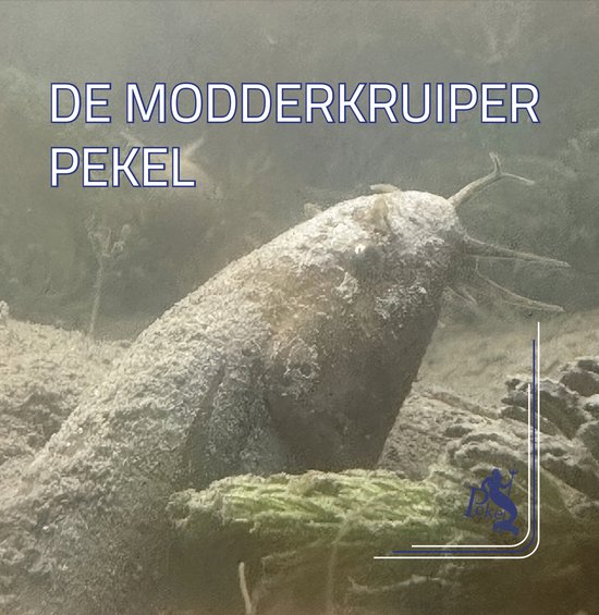 De Modderkruiper