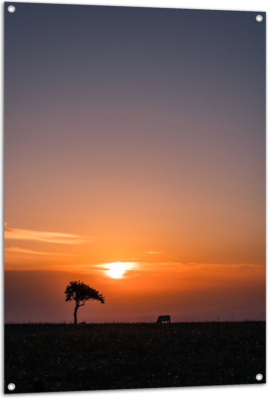 Tuinposter – Landschap - Wei - Boom - Dier - Zonsondergang - Gras - 80x120 cm Foto op Tuinposter (wanddecoratie voor buiten en binnen)