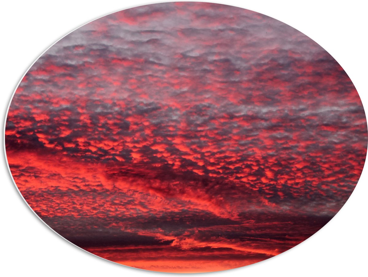 PVC Schuimplaat Ovaal - Rode Gloed over Sluierbewolking in de Lucht - 80x60 cm Foto op Ovaal (Met Ophangsysteem)