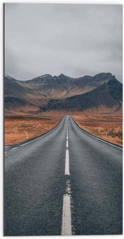 Dibond - Landschap - Weg - Bergen - Gras - 50x100 cm Foto op Aluminium (Met Ophangsysteem)