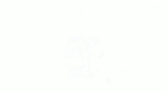 Doorstroomtoets Groep 8 Oefenboek - Deel 1 - Afgestemd op Leerling in Beeld (Cito), IEP-toets, Route 8 en Dia - Wijzer over de Basisschool