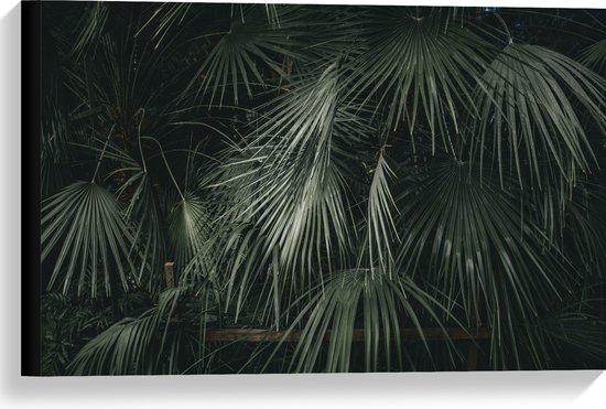Canvas - Smalle Groene Hangende Palmbladeren - 60x40 cm Foto op Canvas Schilderij (Wanddecoratie op Canvas)