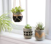 10 cm ciment succulentes pots pots de plantes en béton pots de fleurs modernes d'intérieur pour cactus herbes ou plantes miniatures décoration de la maison idée cadeau lot de 3