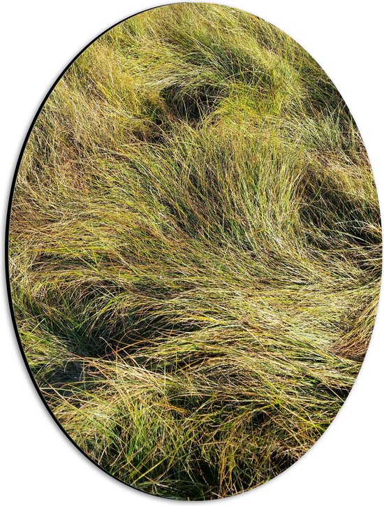Dibond Ovaal - Gras - Groen - Natuur - Wind - 30x40 cm Foto op Ovaal (Met Ophangsysteem)