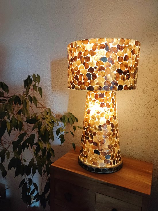 Lampe à poser Design salon chambre à coucher avec hotte coquillage tortue  capiz sur... | bol