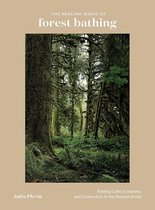 The Healing Magic of Forest Bathing Finding Calm, Creativity, and Connection in the Natural World