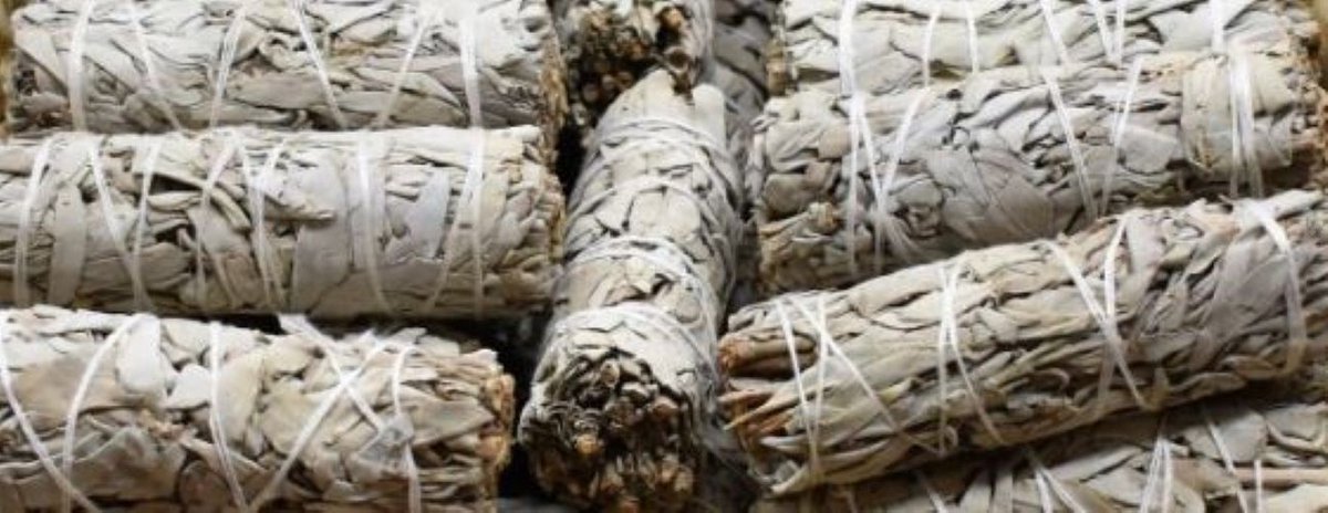 Goedkoopste Witte Salie (Salvia Apiana) White Sage Smudge sticks 7 Stuks