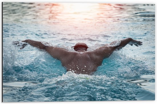 Dibond - Sport Zwemmer in Actie in het Water - 60x40 cm Foto op Aluminium (Met Ophangsysteem)