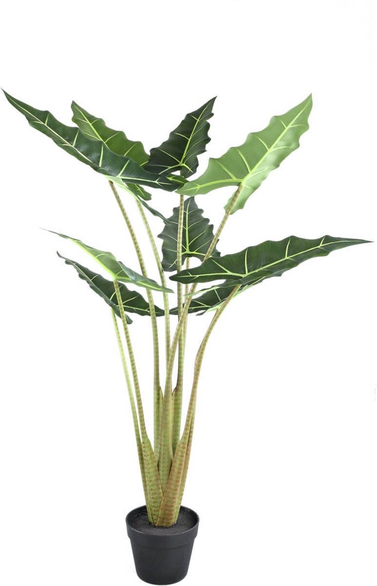 PTMD COLLECTION PTMD Leaves Kunstplant - 100x80x110 cm - PE - Groen