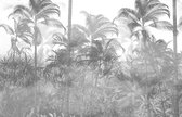 Fotobehang Tropical Trees And Leaves In Foggy Forest Wallpaper Design - 3D - Vliesbehang - 300 x 210 cm