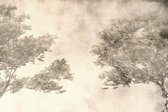 Fotobehang Tropical Trees And Leaves For Digital Printing Wallpaper, Custom Design Wallpaper - 3D - Vliesbehang - 416 x 254 cm