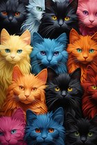 Poster Katten | Katten Poster Kleurrijk | Kittens Poster | Poster Poezen | Woondecoratie | 61x91cm | Geschikt om in te Lijsten