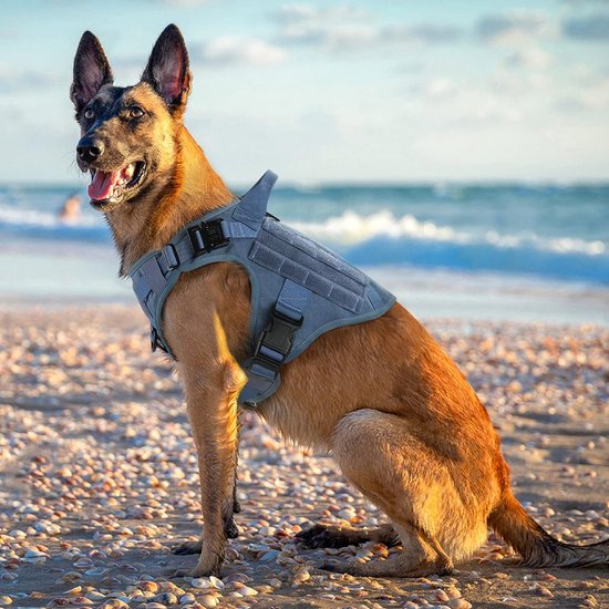 Spark Paws Groot hondenharnas zonder trek, halterontwerp met clip aan de voorkant, duurzaam en zwaar voor grote en sterke rassen - groen, M