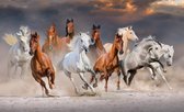 Fotobehang Kudde Galopperende Paarden - Vliesbehang - 315 x 210 cm