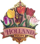 Magneet MDF pretty tulips Holland roze