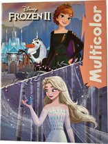 Disney Frozen - kleurboek met 17 kleurplaten en gekleurde illustraties - knutselen - prinsessen - kado - cadeau - verjaardag