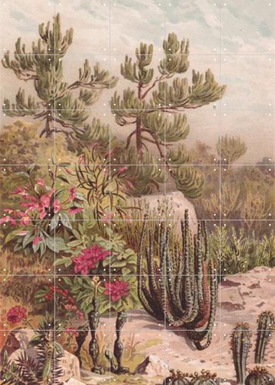 IXXI Euphorbiacene - Décoration murale - Fleurs et Plantes - 100 x 140 cm