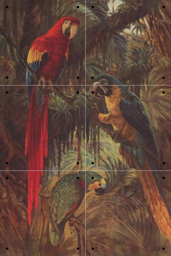 IXXI 3 Parrots - Wanddecoratie - Dieren en insecten - 40 x 60 cm