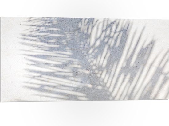 PVC Schuimplaat- Schaduw van Varen Plant op Wit Oppervlak - 100x50 cm Foto op PVC Schuimplaat