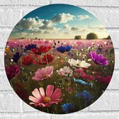 Muursticker Cirkel - Schapenwolken boven Veld Vol met Bloemen in Verschillende Kleuren - 40x40 cm Foto op Muursticker