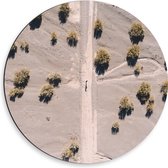 Dibond Muurcirkel - Persoon - Pad - Droogte - Bomen - 50x50 cm Foto op Aluminium Muurcirkel (met ophangsysteem)